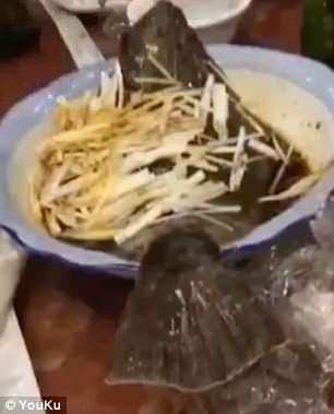 Ψάρι-ζόμπι: Ζωντάνεψε την ώρα που σερβιρίστηκε και πετάχτηκε από το πιάτο [βίντεο] | iefimerida.gr 0