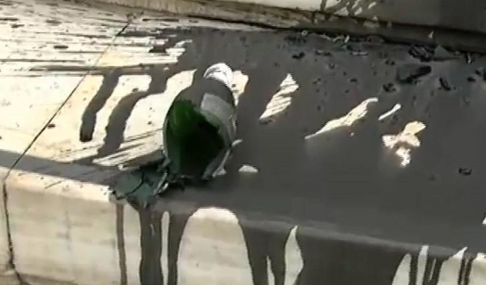 Επίθεση Ρουβίκωνα στο ΣτΕ -Την ώρα που συζητούσε το ασφαλιστικό [εικόνες & βίντεο] | iefimerida.gr 6