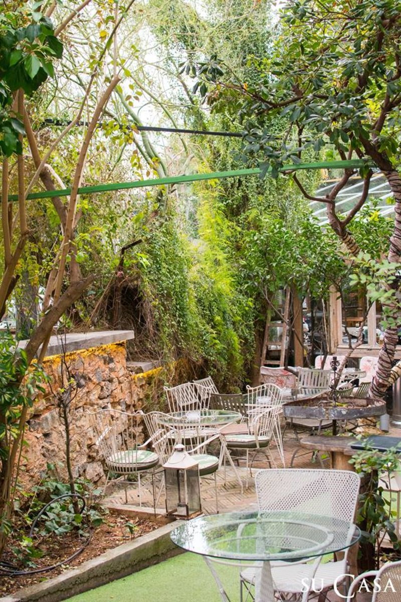 Πρωτομαγιά στην Αθήνα: 7 μαγαζιά με ανθισμένους κήπους και μυστικές αυλές για καφέ [εικόνες] | iefimerida.gr 7