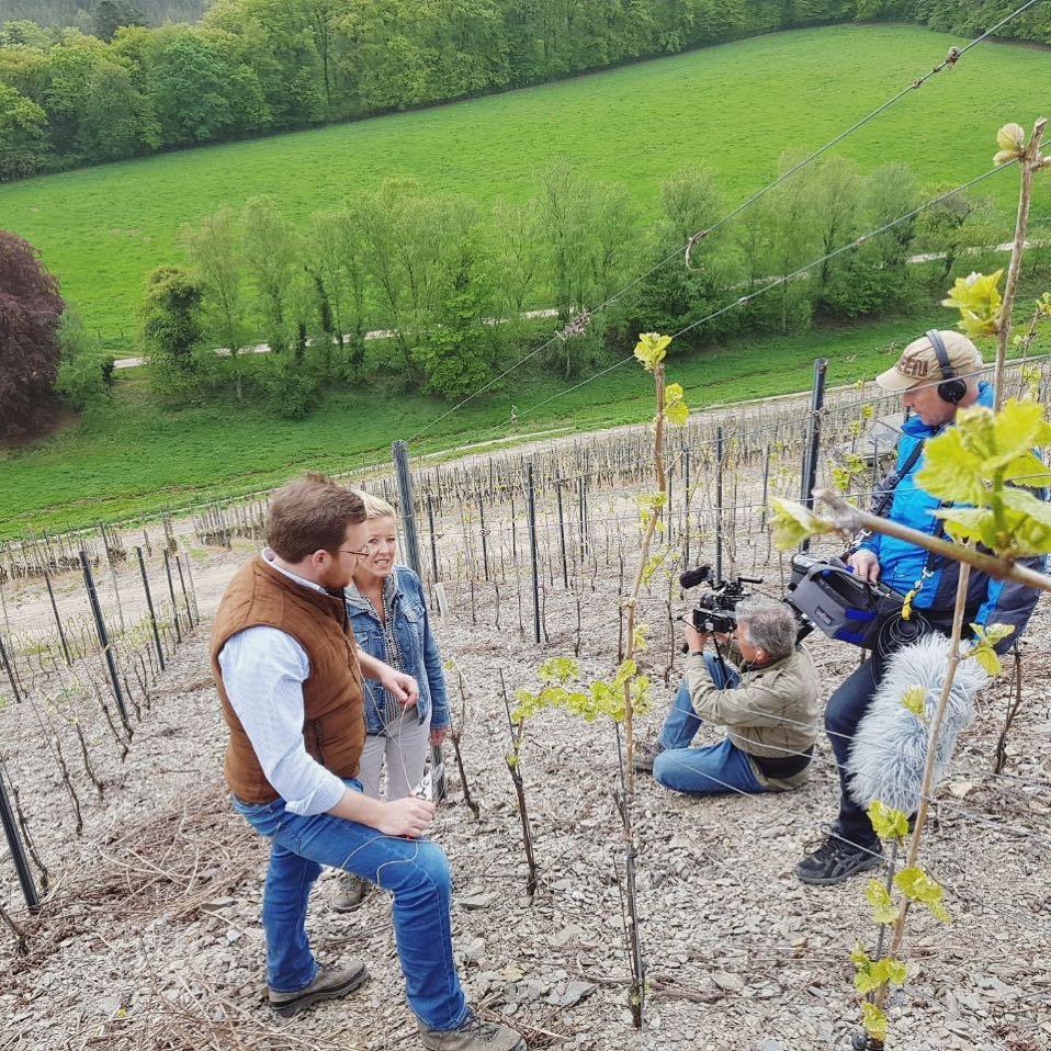 Κρασί από τον αμπελώνα του Καρλ Μαρξ -Της περίφημης ποικιλίας Ρίζλινγκ [εικόνες] | iefimerida.gr 2