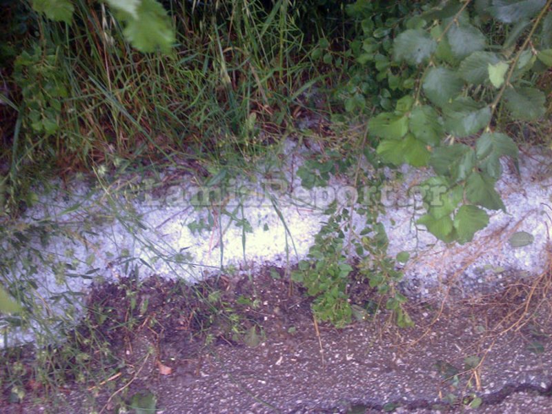 Χαλάζι και μεγάλες ζημιές στην περιοχή του Δομοκού [εικόνες & βίντεο] | iefimerida.gr 5