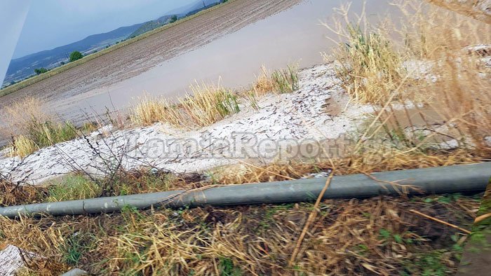 Χαλάζι-γίγας στη Φθιώτιδα -Καταστράφηκαν καλλιέργειες [εικόνες] | iefimerida.gr 4