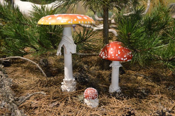 Μετέωρα: Ενα απίστευτο Μουσείο Μανιταριών προσφέρει γνώση και γεύσεις [εικόνες] | iefimerida.gr 3