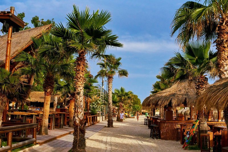 Από Aλιμο μέχρι Σαρωνίδα: 8+1 beach bar με τέλεια κοκτέιλ δίπλα στο κύμα [εικόνες]  | iefimerida.gr 0