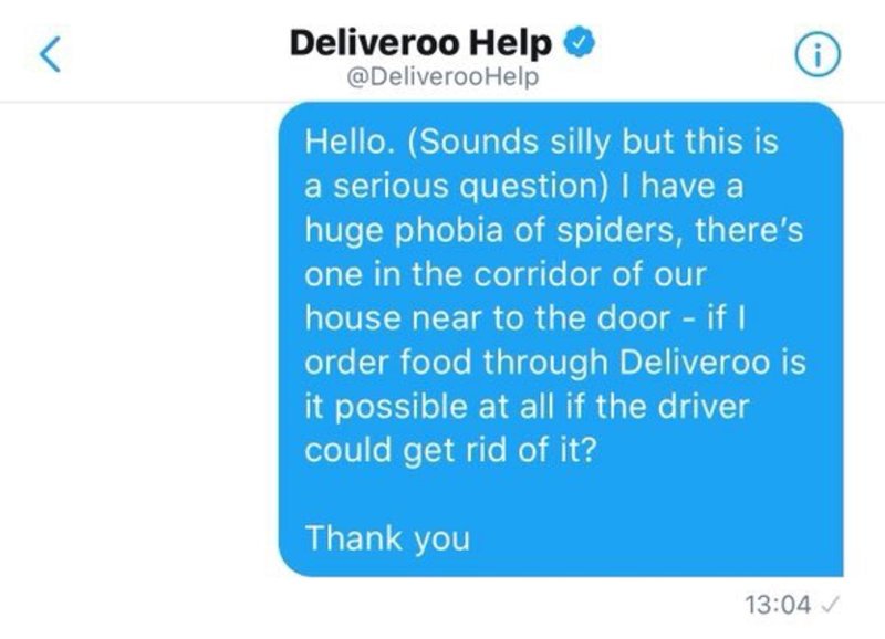 Φοβόταν μία αράχνη και παρήγγειλε για να βάλει τον ντιλιβερά να τη διώξει [εικόνες] | iefimerida.gr 0