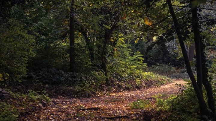 Ανοίγει η διαδρομή προς τη λίμνη Κιθάρα -Μισή ώρα από την Ομόνοια, θυμίζει Αλπεις [εικόνες] | iefimerida.gr 12