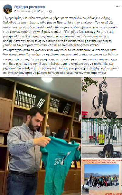 Σάλος στη Χαλκίδα -Εκλεισαν σε κυνοκομείο τον Νυχτερίδα, το σκύλο-καρτούν σχολείου [εικόνες] | iefimerida.gr 0