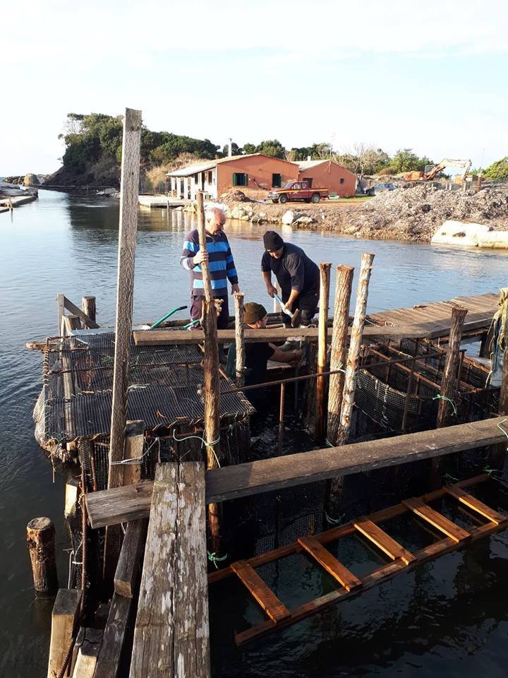 Ιεροτελεστία: Βήμα-βήμα η παρασκευή του περίφημου αυγοτάραχου Κέρκυρας [εικόνες] | iefimerida.gr 2