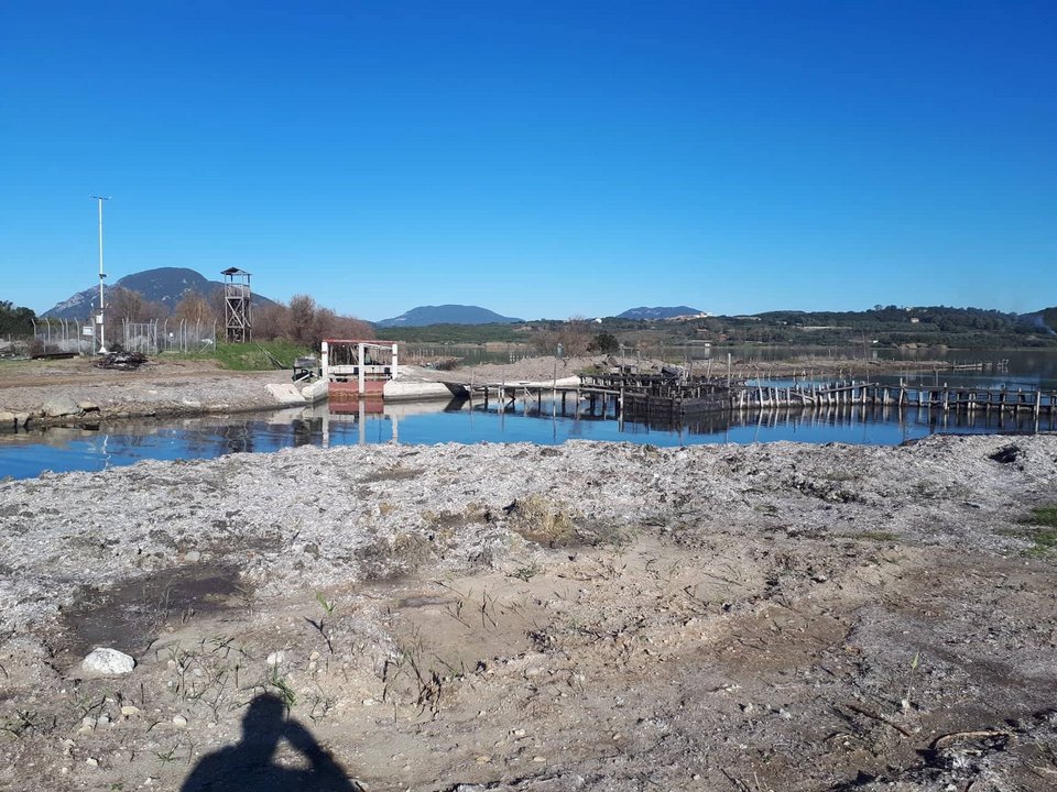 Ιεροτελεστία: Βήμα-βήμα η παρασκευή του περίφημου αυγοτάραχου Κέρκυρας [εικόνες] | iefimerida.gr 5