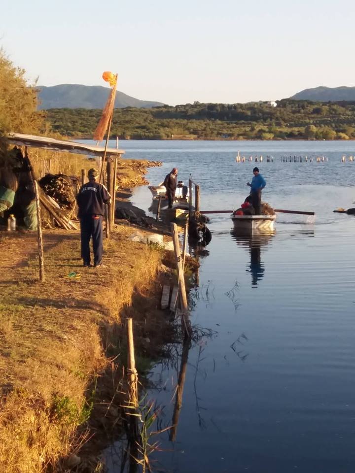 Ιεροτελεστία: Βήμα-βήμα η παρασκευή του περίφημου αυγοτάραχου Κέρκυρας [εικόνες] | iefimerida.gr 0
