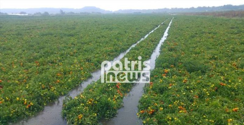 Δρόμοι-ποτάμια, κατολισθήσεις, ζημιές -Σάρωσε τη χώρα η «Νεφέλη» [εικόνες & βίντεο] | iefimerida.gr 4
