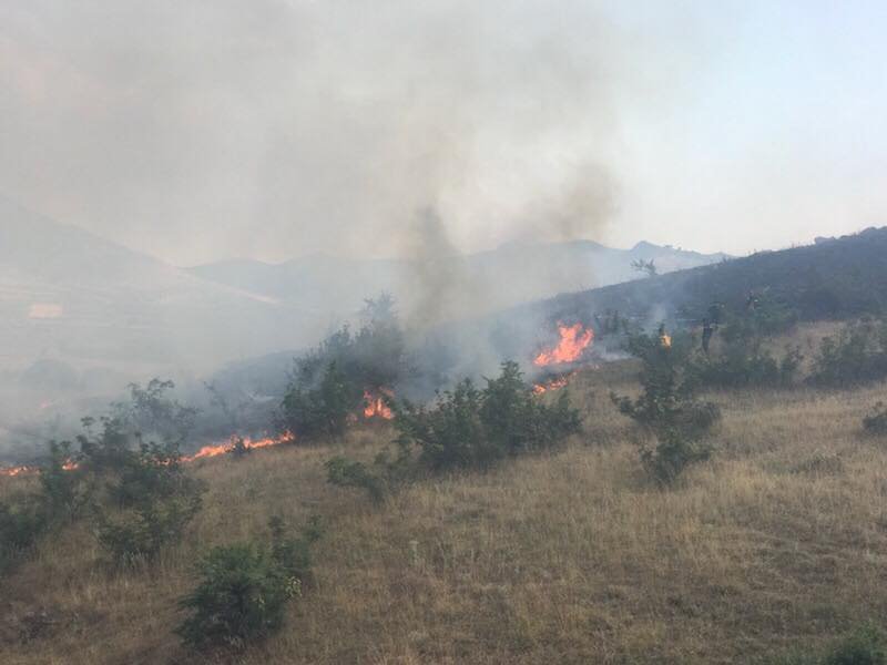 Φωτογραφία: onlarissa