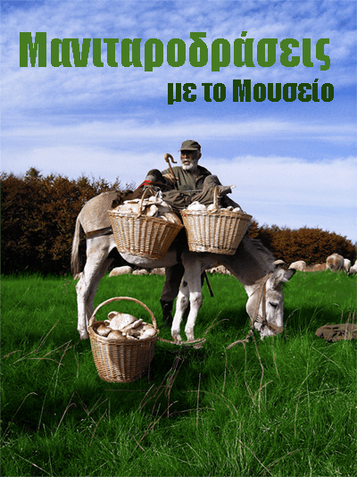 Μετέωρα: Ενα απίστευτο Μουσείο Μανιταριών προσφέρει γνώση και γεύσεις [εικόνες] | iefimerida.gr 6