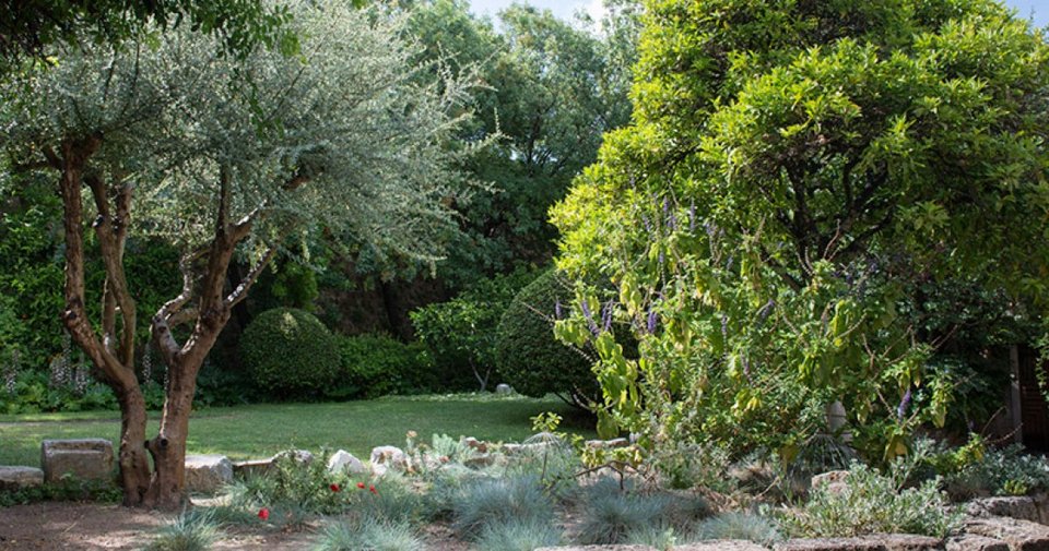 Ρόδος: Ο σπάνιος μεσαιωνικός κήπος του Ιδρύματος Marc de Montalembert [εικόνες] | iefimerida.gr 3