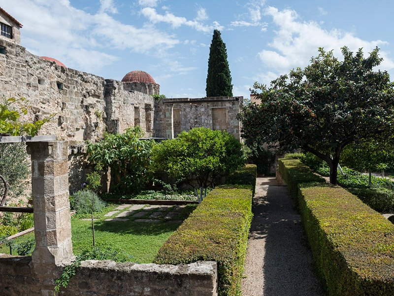 Ρόδος: Ο σπάνιος μεσαιωνικός κήπος του Ιδρύματος Marc de Montalembert [εικόνες] | iefimerida.gr 5