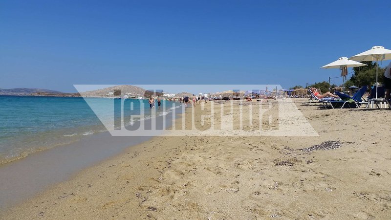 Η Νάξος «βουλιάζει» από τουρίστες -Αναβάθμιση των υποδομών ζητούν οι επιχειρηματίες [εικόνες & βίντεο]  | iefimerida.gr 7