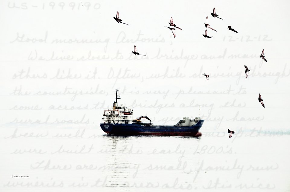 Θέατρο στον Πειραιά -Σε Τζάνειο, Ιχθυόσκαλα, λιμάνι, Μουσείο, Ξενοδοχεία [πρόγραμμα] | iefimerida.gr 7