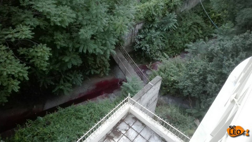 Ανεξήγητο φαινόμενο στη Θεσσαλονίκη -Ρέει κόκκινο ποτάμι και βάφει το μπετόν [εικόνες & βίντεο] | iefimerida.gr 0