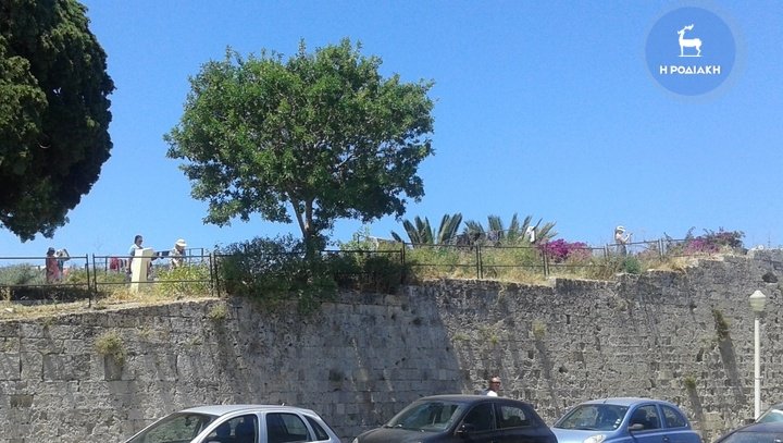 Ρομά άπλωσαν μπουγάδα στα τείχη της Παλιάς πόλης της Ρόδου [εικόνες] | iefimerida.gr 3
