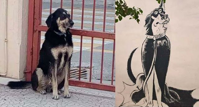 Σάλος στη Χαλκίδα -Εκλεισαν σε κυνοκομείο τον Νυχτερίδα, το σκύλο-καρτούν σχολείου [εικόνες] | iefimerida.gr 3