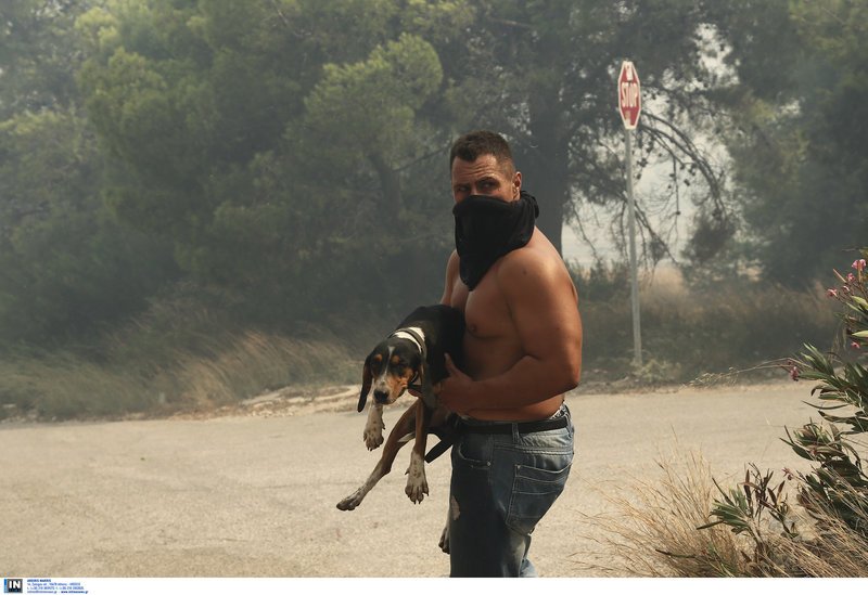 Ηρωικά διασώζει τον σκύλο του ο νεαρός μέσα στους καπνούς