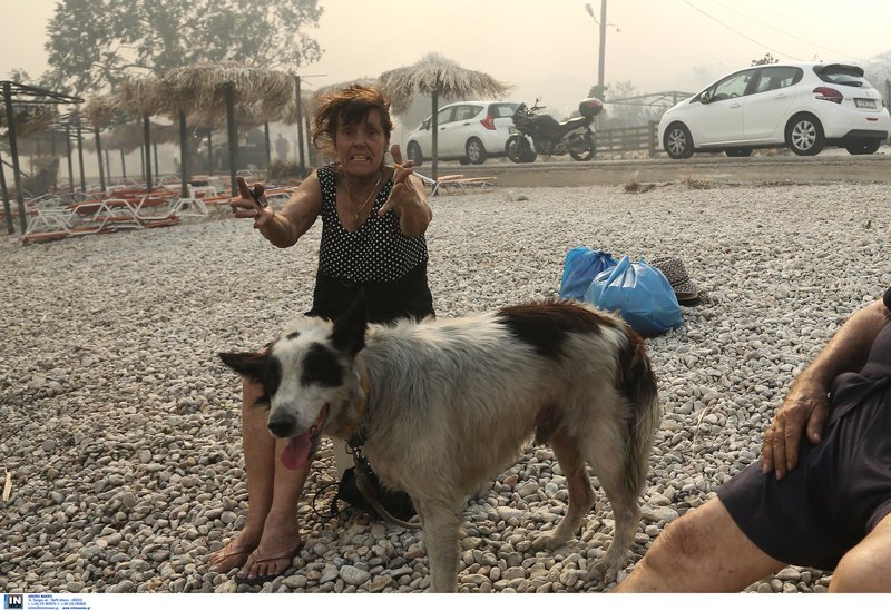 Οργή, απόγνωση, αλλά σώθηκε και η κυρία και ο σκύλος της
