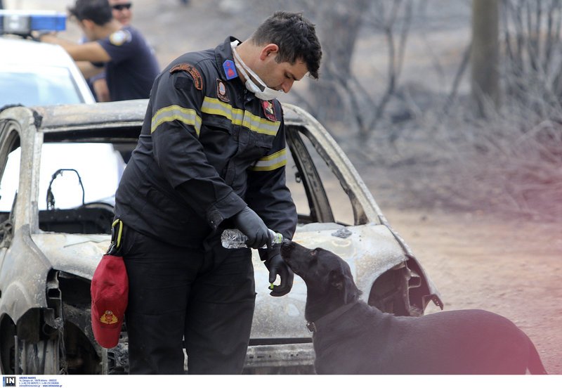 Πυροσβέστης σβήνει τη δίψα του σκύλου