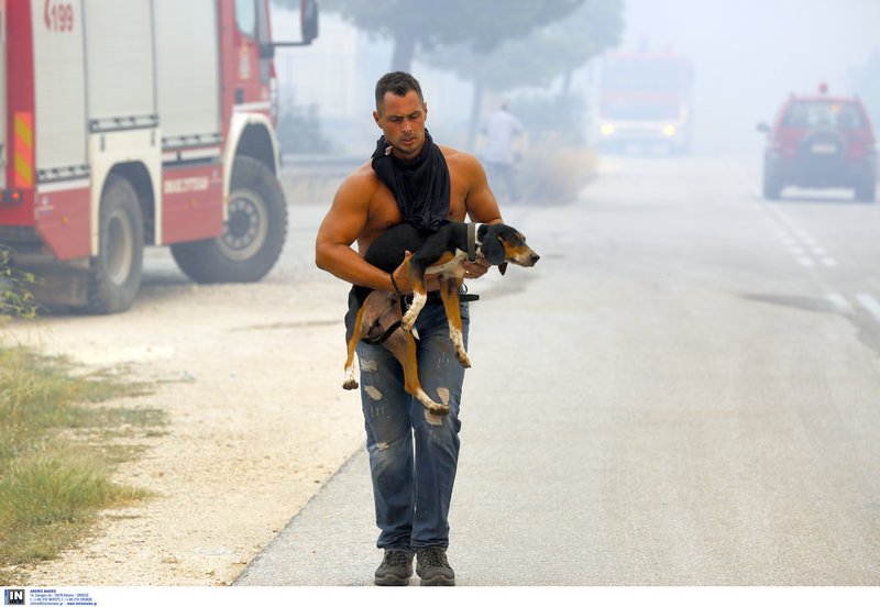 Στην αγκαλιά του νεαρού ο σκύλος τρομαγμένος