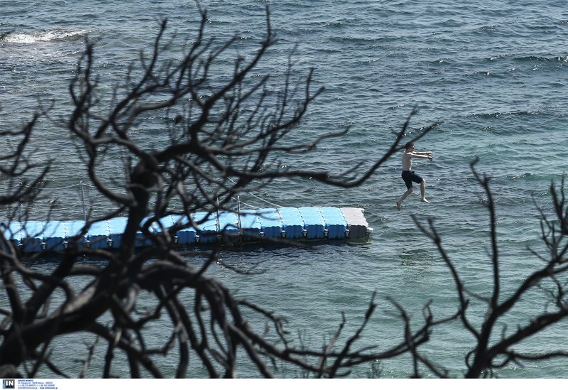 Η ζωή συνεχίζεται στα καμένα- Λουόμενοι κάνουν το μπάνιο τους στο λιμανάκι της Ραφήνας [εικόνες] | iefimerida.gr 8