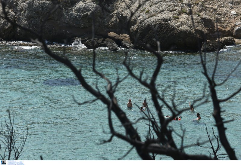 Η ζωή συνεχίζεται στα καμένα- Λουόμενοι κάνουν το μπάνιο τους στο λιμανάκι της Ραφήνας [εικόνες] | iefimerida.gr 7