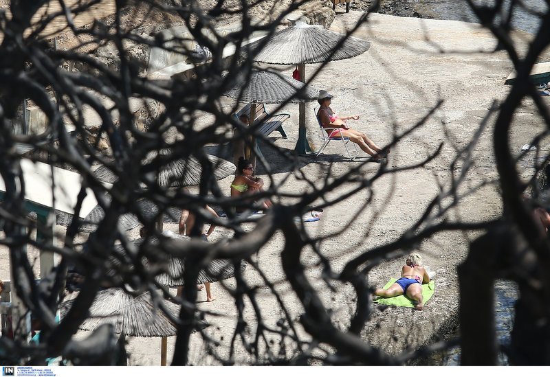 Η ζωή συνεχίζεται στα καμένα- Λουόμενοι κάνουν το μπάνιο τους στο λιμανάκι της Ραφήνας [εικόνες] | iefimerida.gr 6