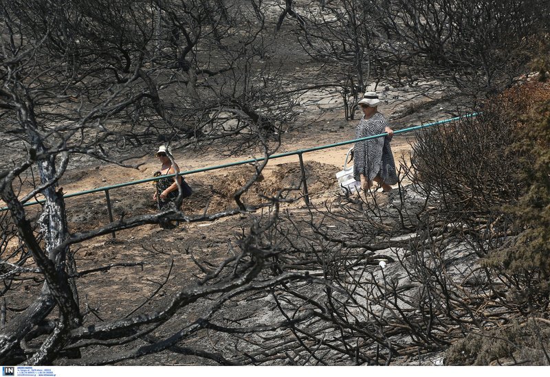 Η ζωή συνεχίζεται στα καμένα- Λουόμενοι κάνουν το μπάνιο τους στο λιμανάκι της Ραφήνας [εικόνες] | iefimerida.gr 3