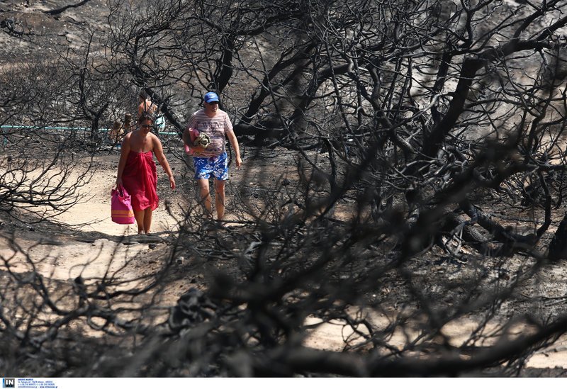 Η ζωή συνεχίζεται στα καμένα- Λουόμενοι κάνουν το μπάνιο τους στο λιμανάκι της Ραφήνας [εικόνες] | iefimerida.gr 2