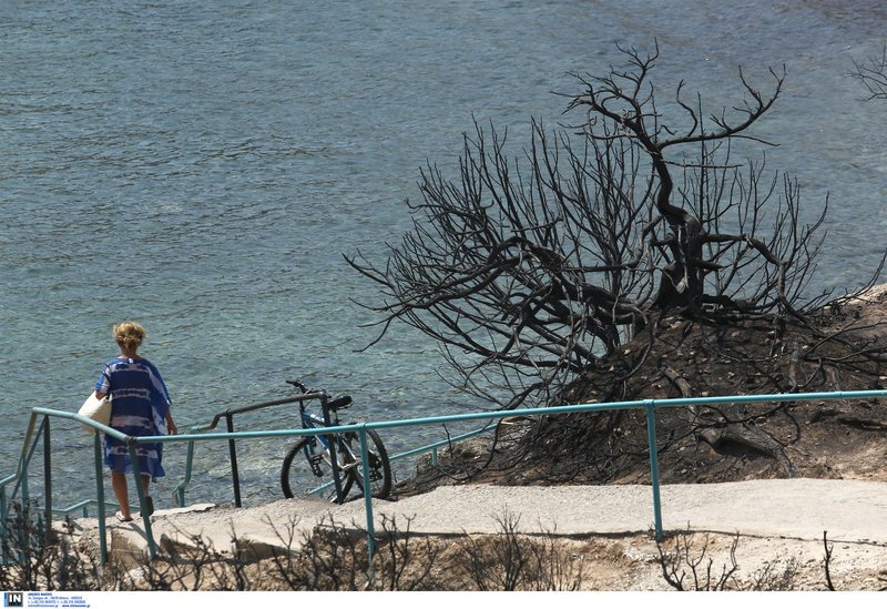 Η ζωή συνεχίζεται στα καμένα- Λουόμενοι κάνουν το μπάνιο τους στο λιμανάκι της Ραφήνας [εικόνες] | iefimerida.gr 1