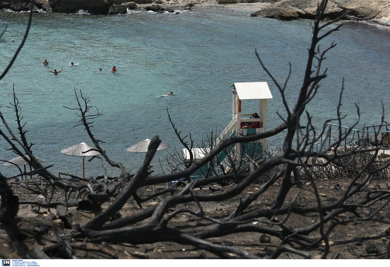 Η ζωή συνεχίζεται στα καμένα- Λουόμενοι κάνουν το μπάνιο τους στο λιμανάκι της Ραφήνας [εικόνες] | iefimerida.gr 0