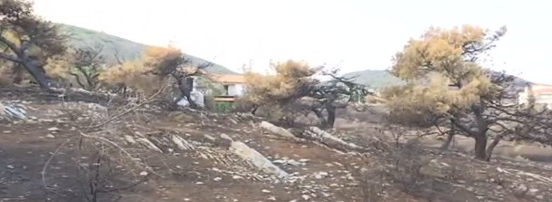 Φωτιά στο Μάτι: Στοιχεία ότι ξεκίνησε από αμέλεια ιδιώτη -Εκαιγε ξύλα και χόρτα [εικόνες] | iefimerida.gr 2