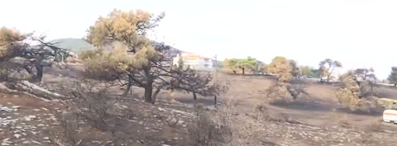 Φωτιά στο Μάτι: Στοιχεία ότι ξεκίνησε από αμέλεια ιδιώτη -Εκαιγε ξύλα και χόρτα [εικόνες] | iefimerida.gr 3