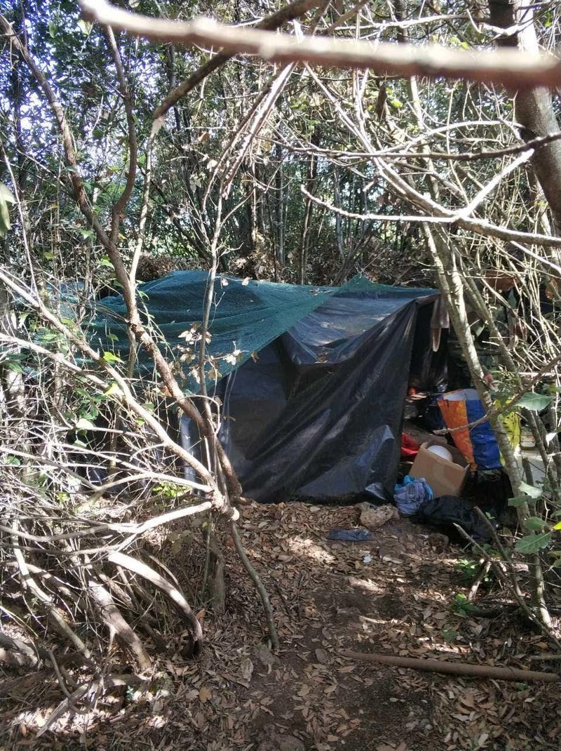 Είχαν φυτέψει «δάση» με δενδρύλλια κάνναβης στη Φθιώτιδα [εικόνες] | iefimerida.gr 5