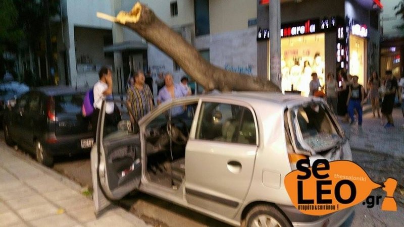 Θεσσαλονίκη: Πτώσεις δέντρων από την κακοκαιρία στον δήμο Βόλβης [εικόνα] | iefimerida.gr 0