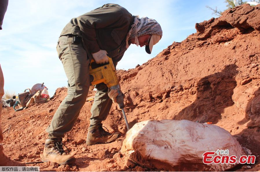 Αργεντινή: Βρήκαν κόκαλα γιγάντιου δεινόσαυρου που έζησε πριν από 200 εκατ. χρόνια [εικόνες] | iefimerida.gr 1