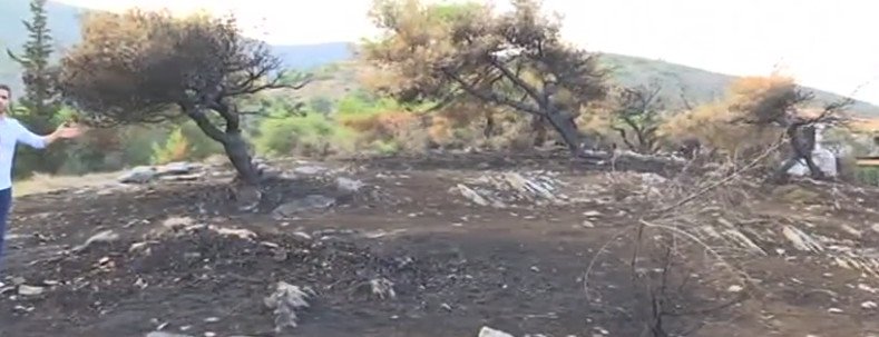 Φωτιά στο Μάτι: Στοιχεία ότι ξεκίνησε από αμέλεια ιδιώτη -Εκαιγε ξύλα και χόρτα [εικόνες] | iefimerida.gr 1