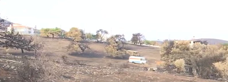 Φωτιά στο Μάτι: Στοιχεία ότι ξεκίνησε από αμέλεια ιδιώτη -Εκαιγε ξύλα και χόρτα [εικόνες] | iefimerida.gr 4