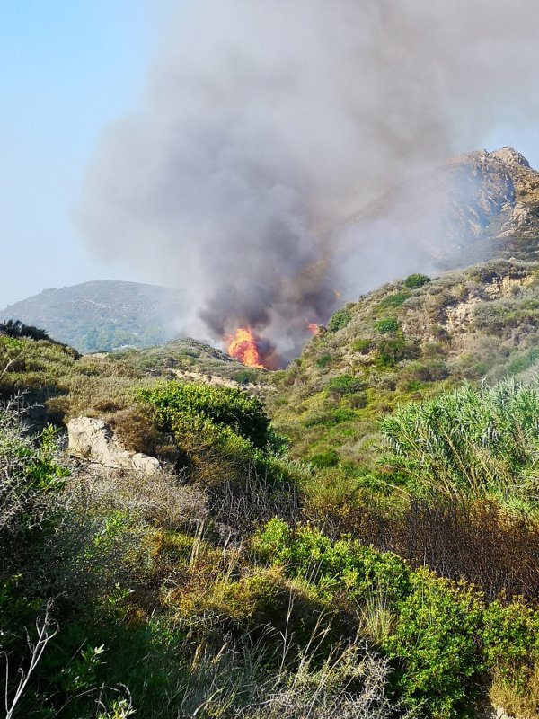 Υπό μερικό έλεγχο η φωτιά στη Ζάκυνθο -Ολονύκτια μάχη με τις αναζωπυρώσεις [εικόνες & βίντεο] | iefimerida.gr 0