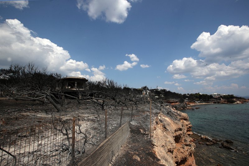 Reuters: Καμία συγγνώμη, καμία παραίτηση -Αλαζονεία για τις φονικές φωτιές | iefimerida.gr 1