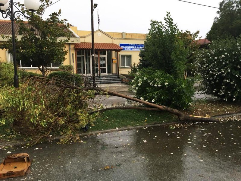 Ξηλώθηκαν δέντρα από την ισχυρή κακοκαιρία και στη Νέα Καρβάλη/Φωτογραφία: kavalapost