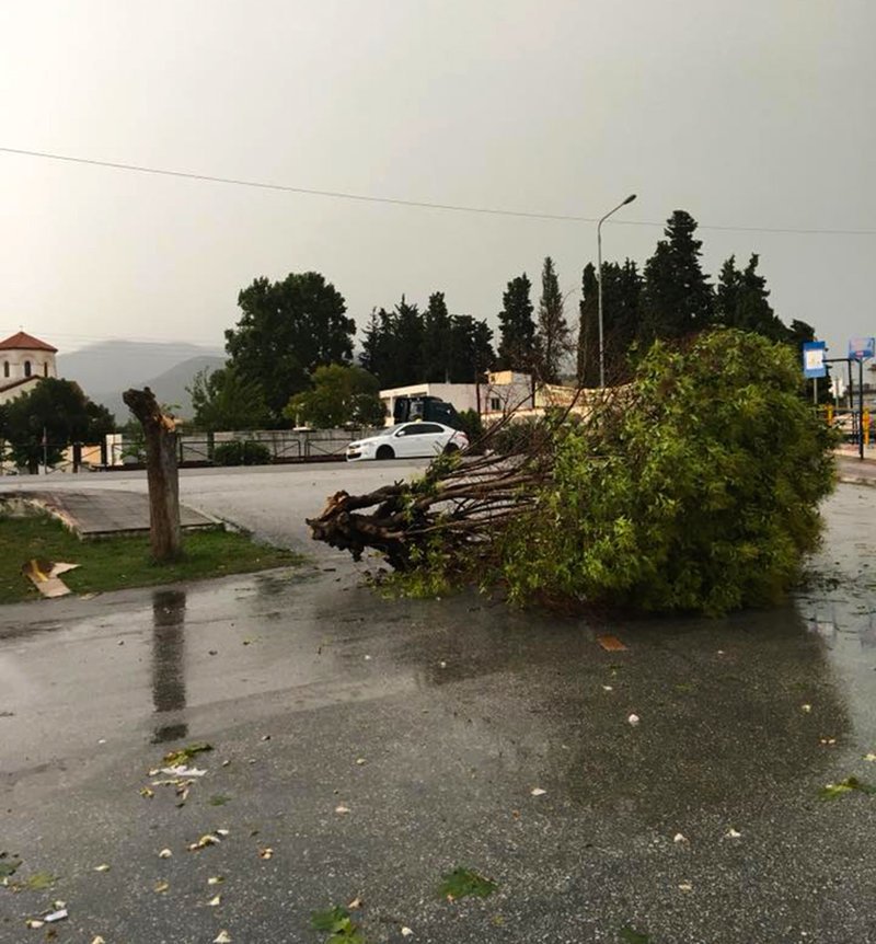 Σπασμένα δέντρα στους δρόμους της Νέας Καρβάλης/Φωτογραφία: Kavalapost.gr