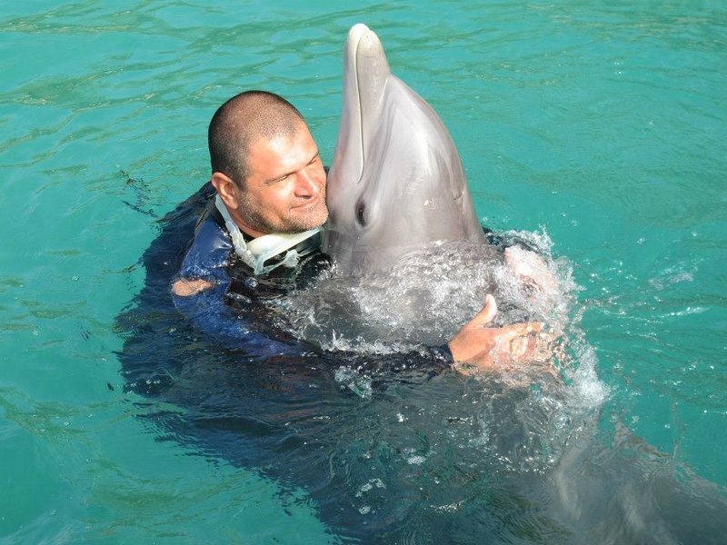 Μεγαλείο ψυχής: Κατάδυση στον βυθό της Κύθνου με τον πρώτο παραπληγικό εκπαιδευτή [εικόνες] | iefimerida.gr 0