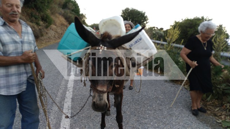 Οι δουλειές στη Μέση Νάξου γίνονται παραδοσιακά με τα γαϊδουράκια