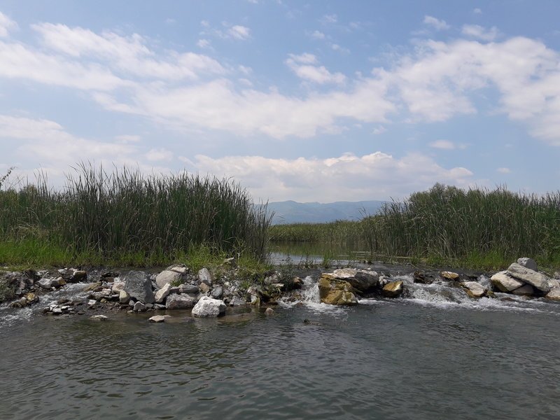 Εκεί που ο Πηνειός συναντά το Αιγαίο -Ενα «διαμάντι» της φύσης, πόλος έλξης για τουρίστες [εικόνες] | iefimerida.gr 2