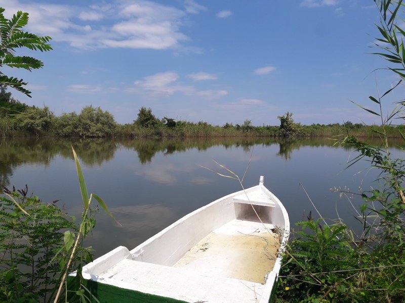Εκεί που ο Πηνειός συναντά το Αιγαίο -Ενα «διαμάντι» της φύσης, πόλος έλξης για τουρίστες [εικόνες] | iefimerida.gr 3